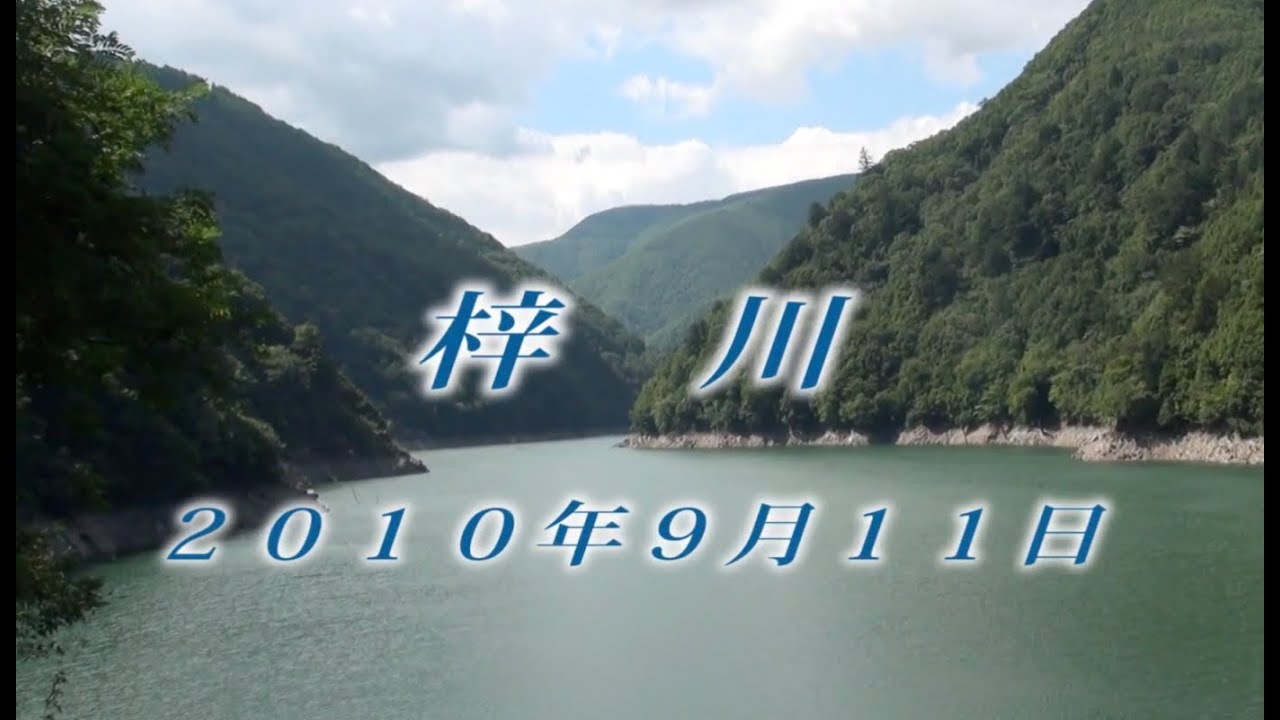 141 北アルプス 梓川9月 2010年9月11日 ツメレンゲ - 生物多様性体験保全センター 高山植物を主とした野生植物の映像集
