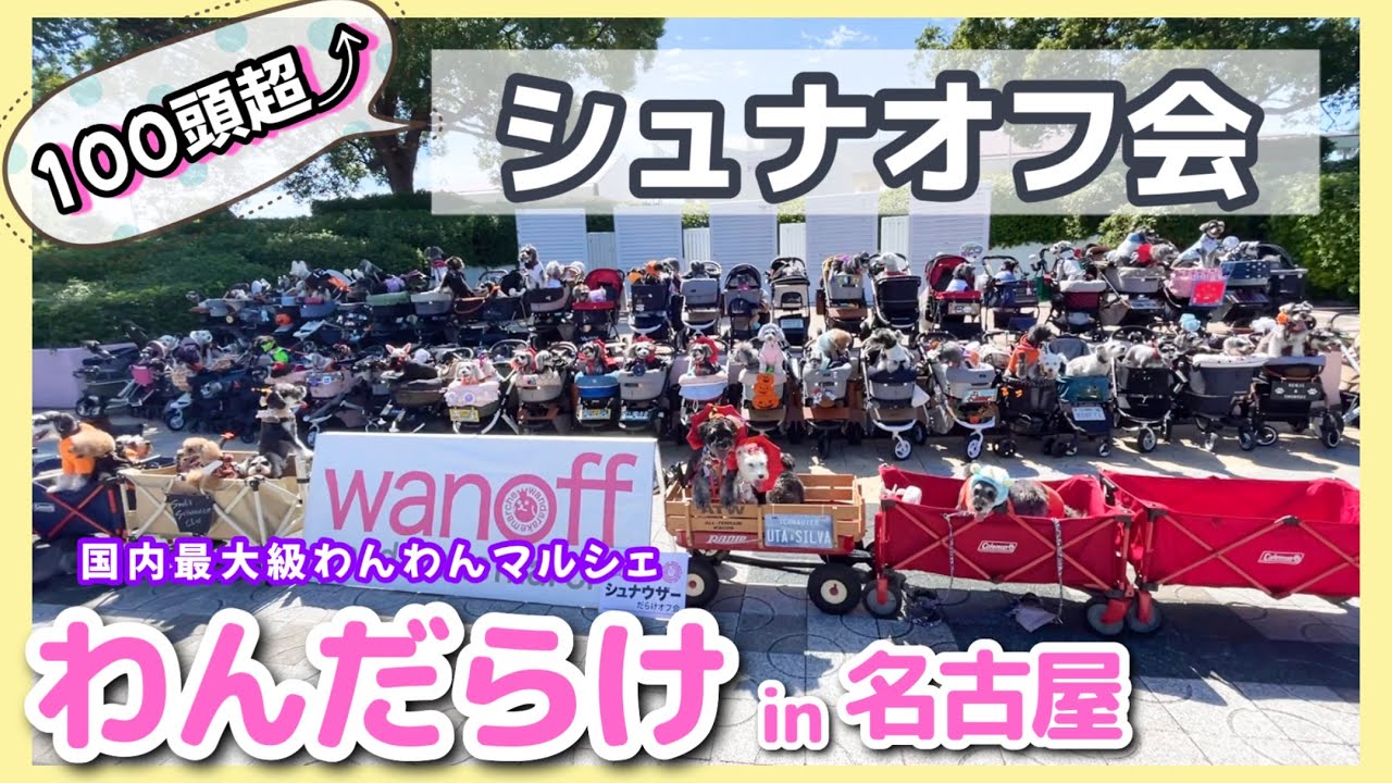 【わんだらけマルシェ｜名古屋】2023年9月23～24日開催 日本最大のワンコマルシェイベント。愛犬シュナウザーと一緒に初参加！