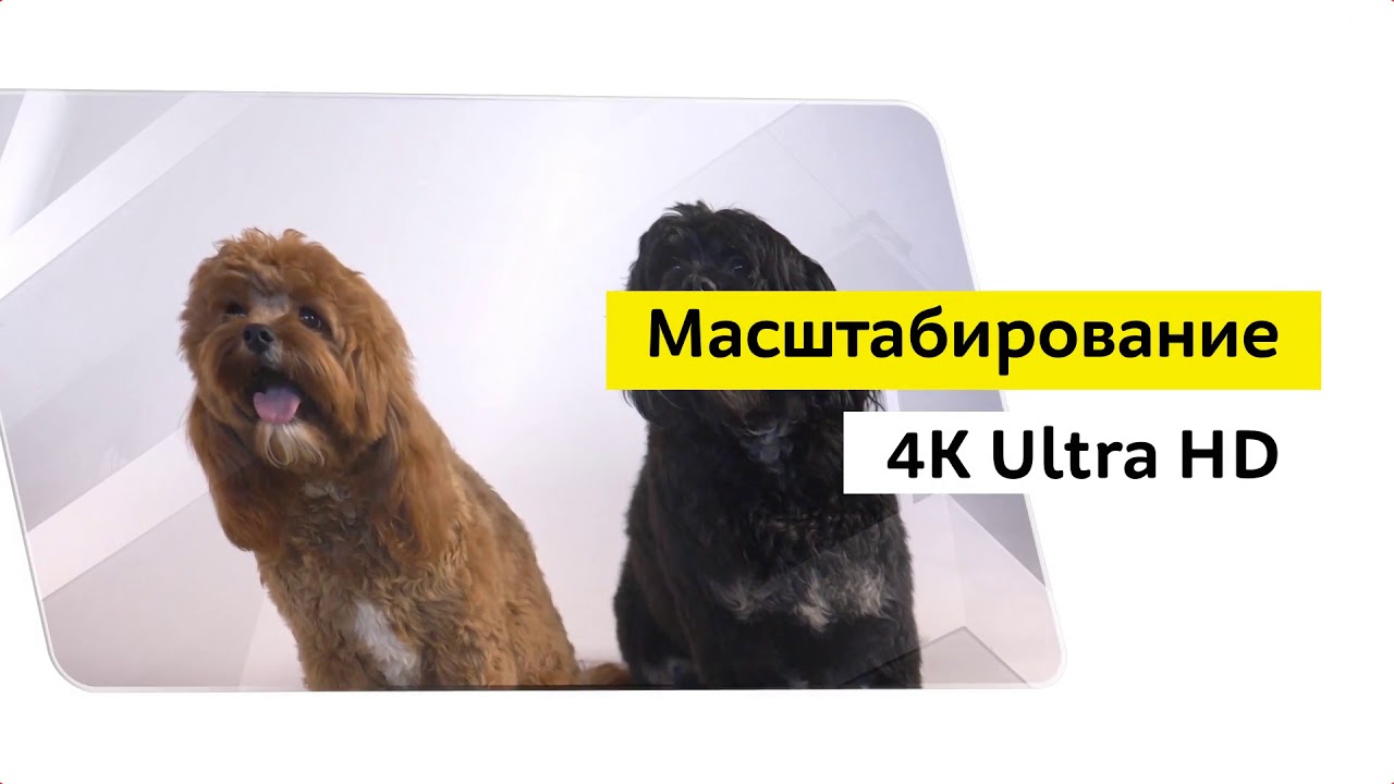 Телевизор Samsung UE50TU7570U