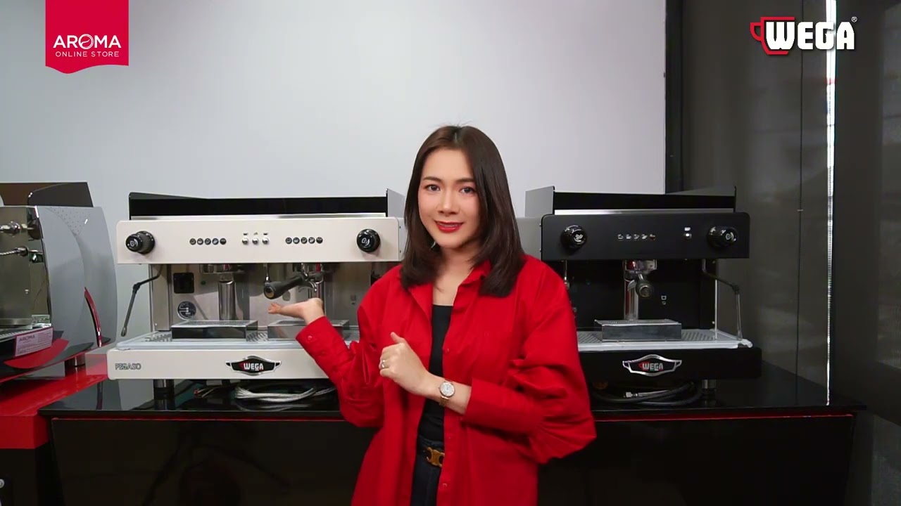 เครื่องชงขายดี Wega Pegaso