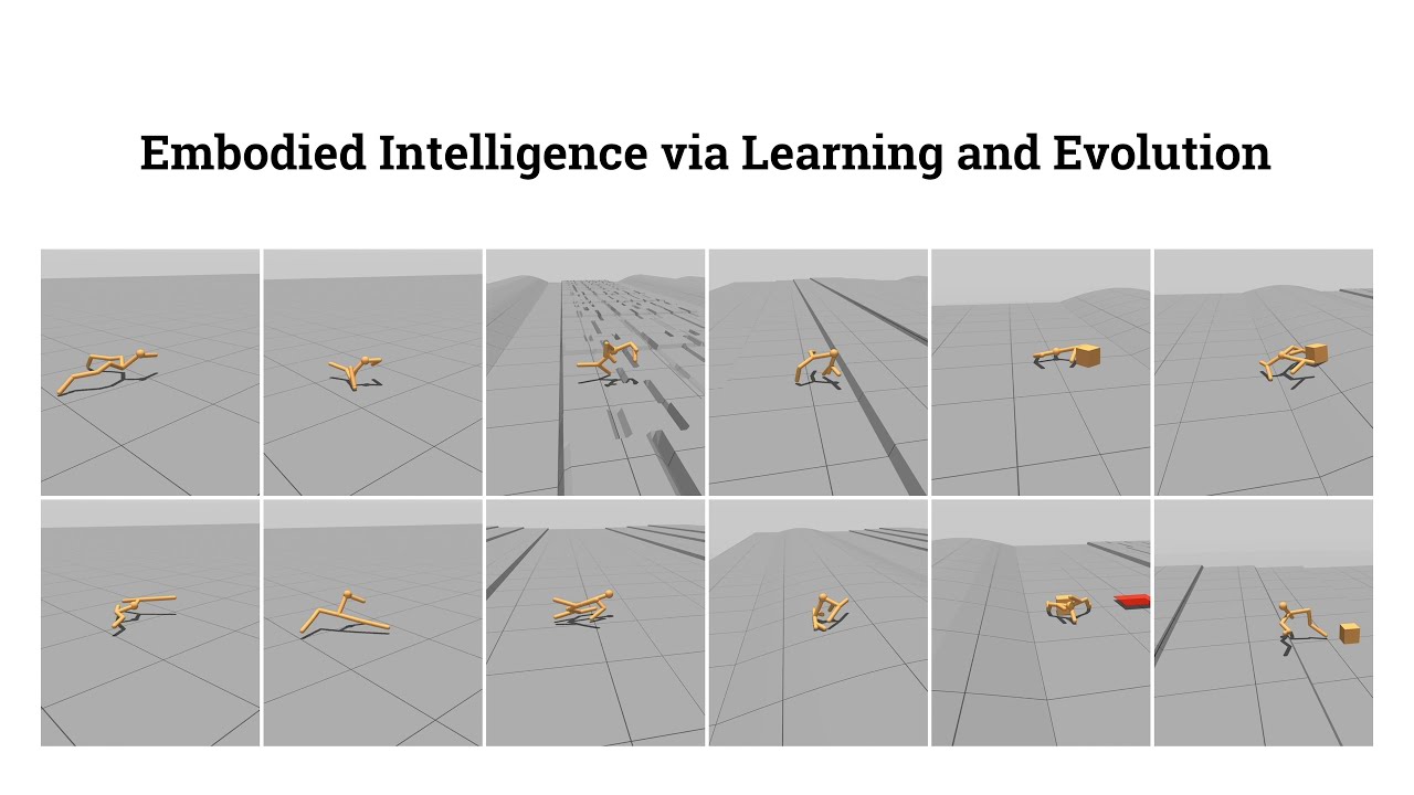 Embodied Intelligence via Learning and Evolution