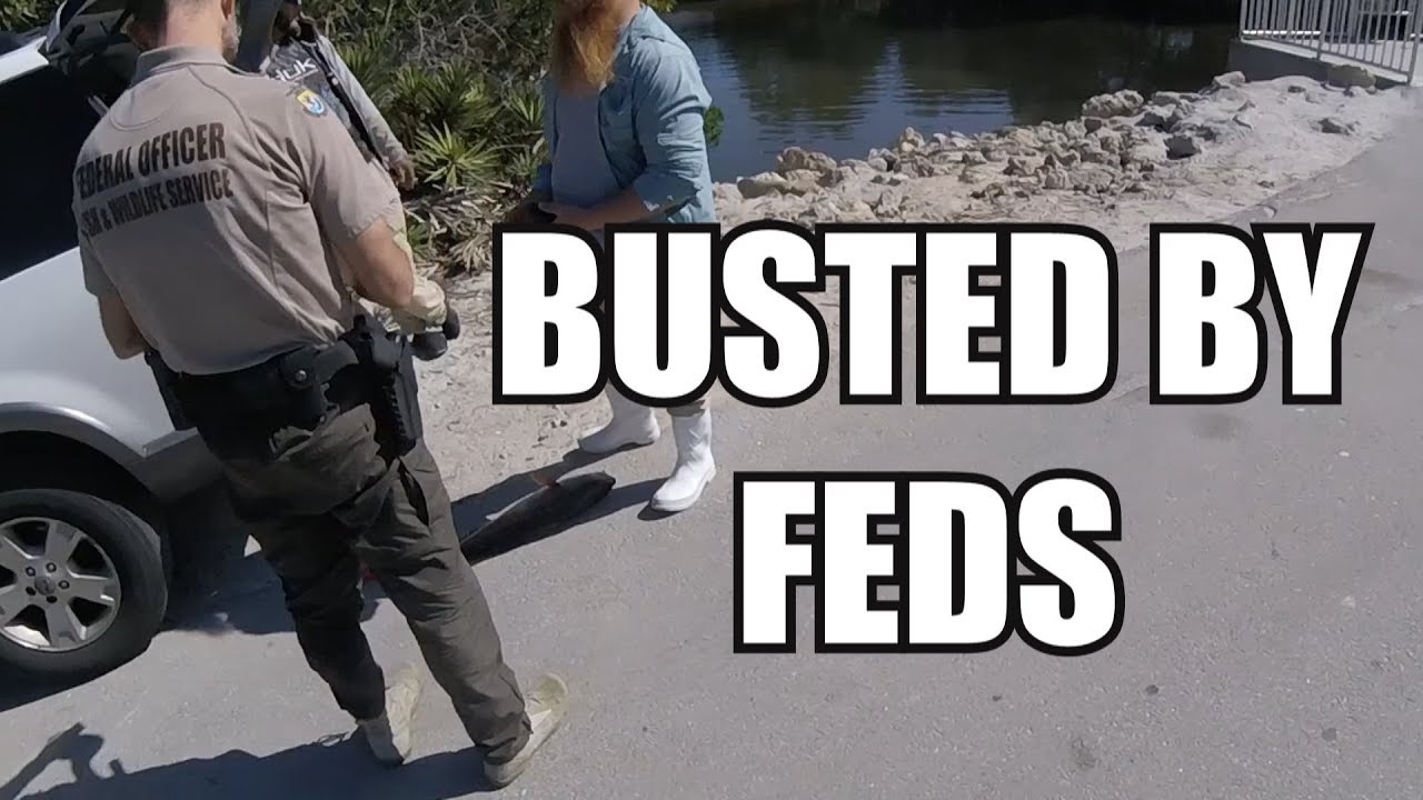 POACHER gets BUSTED For ILLEGAL HARVEST