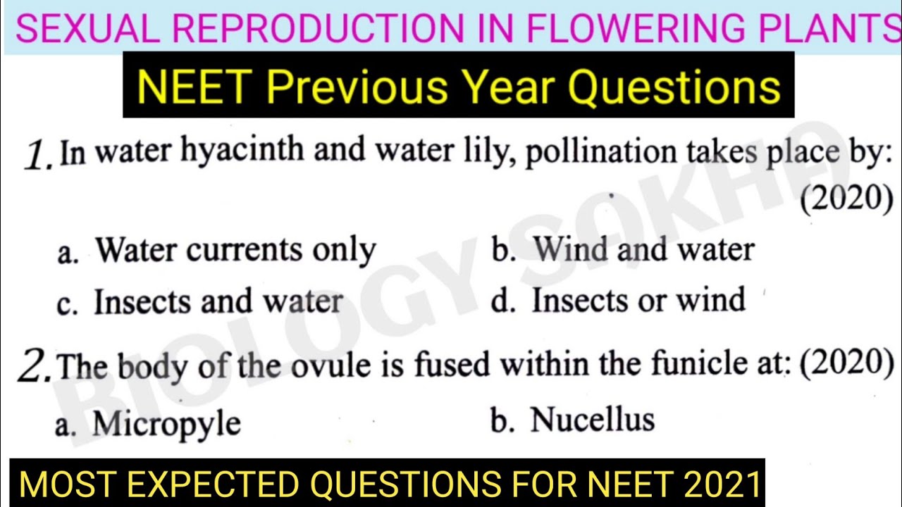 NEET Previous Year Questions Biology Class 12 SEXUAL REPRODUCTION IN FLOWERING PLANTS 2020-2013