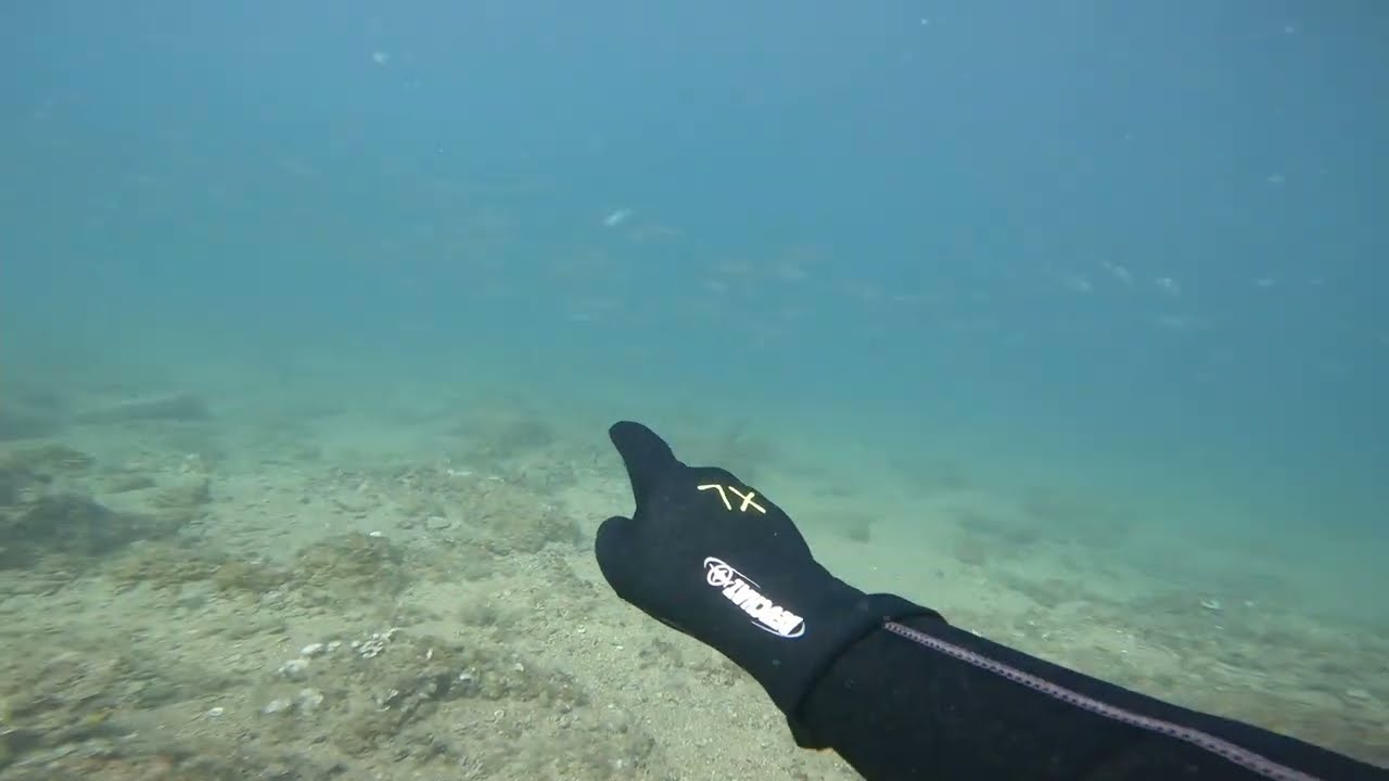 Way better down where it's wetter