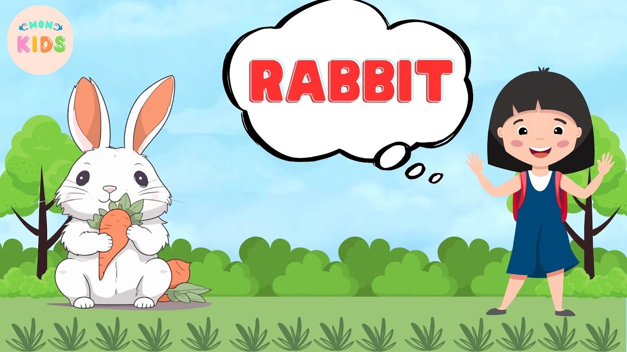Rabbit Facts For Kids 🐰 Learn All About Rabbits | MON Kids