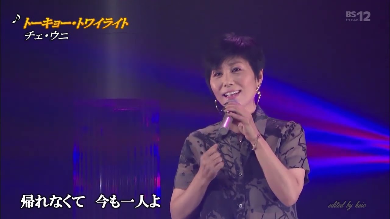 BKTBC992　トーキョー・トワイライト②　チェウニcheuni　（1999）200929 Ver3L HD
