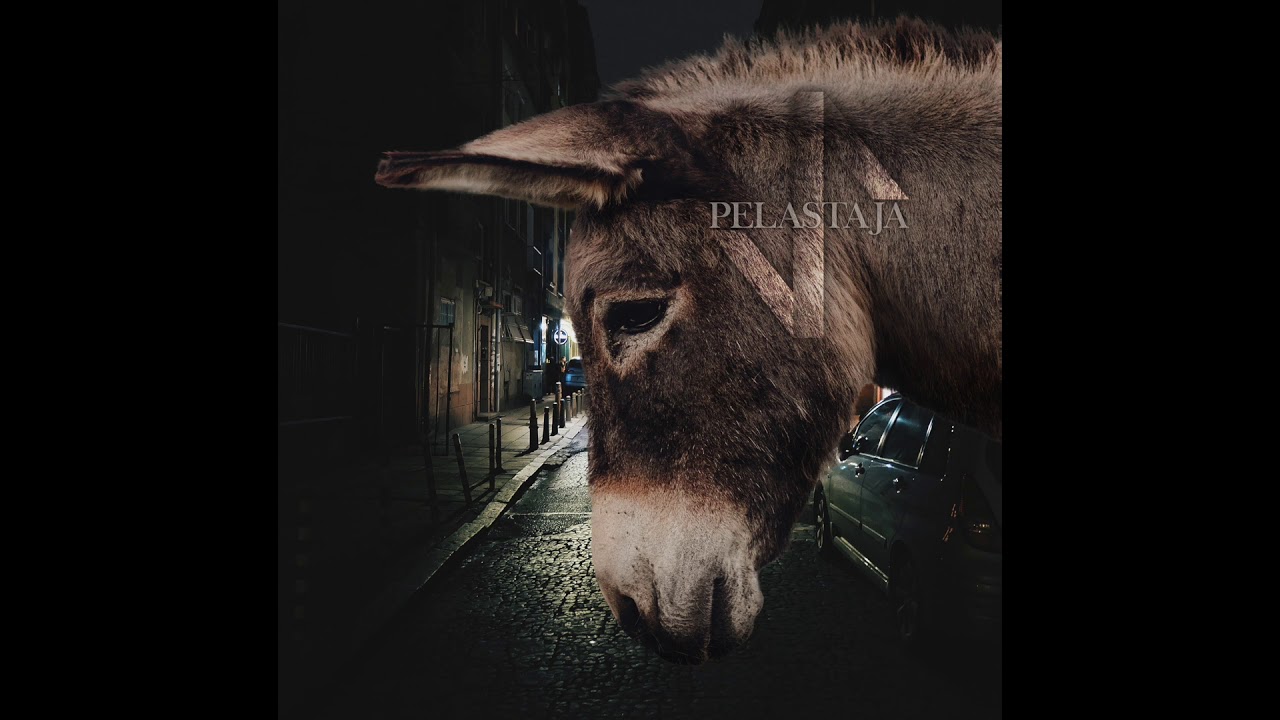 Vanamo - Pelastaja (2020)