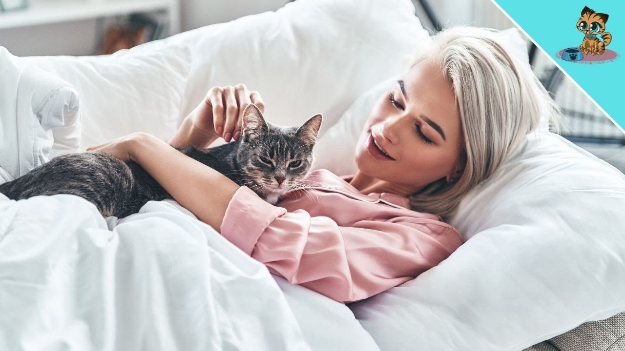 THIS Is Why Cats LOVE To Sleep In Our Bed (SURPRISING)