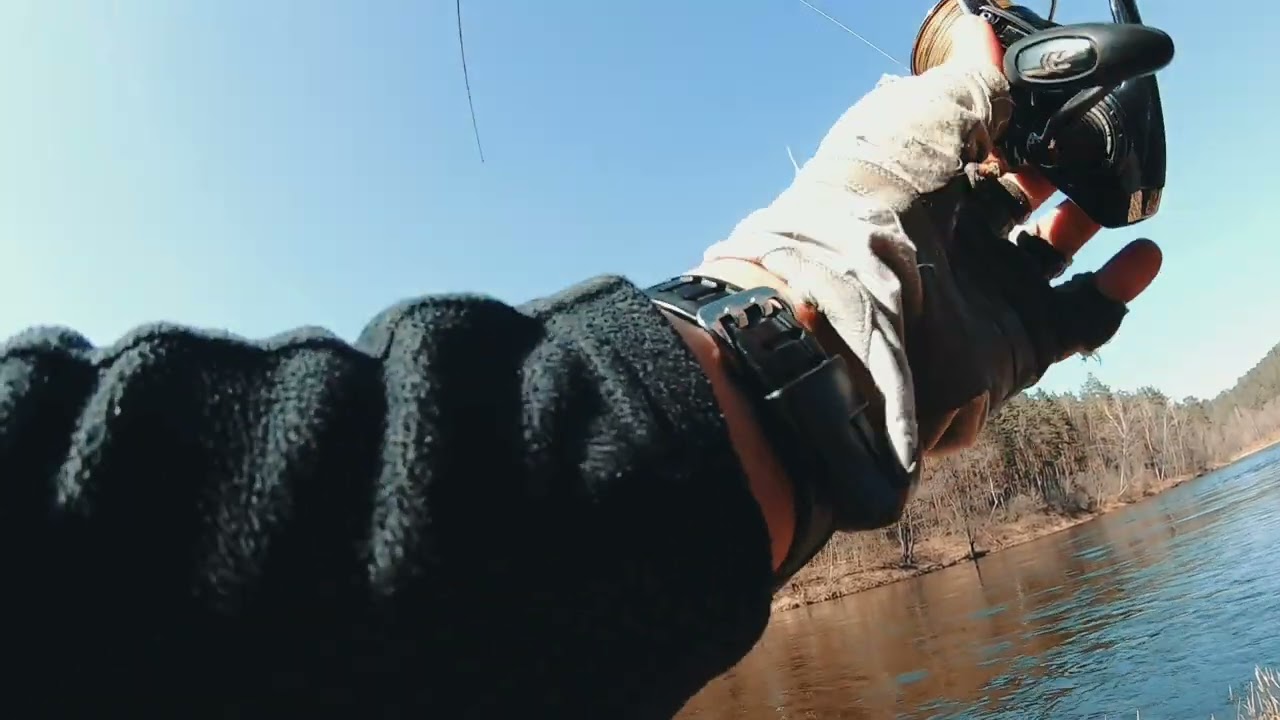 Lithuania fishing 🎬 Lašiša,Neris