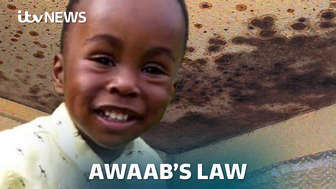 Damp and mouldy homes still an issue as Awaab&rsquo;s Law comes in, campaigners warn | ITV News