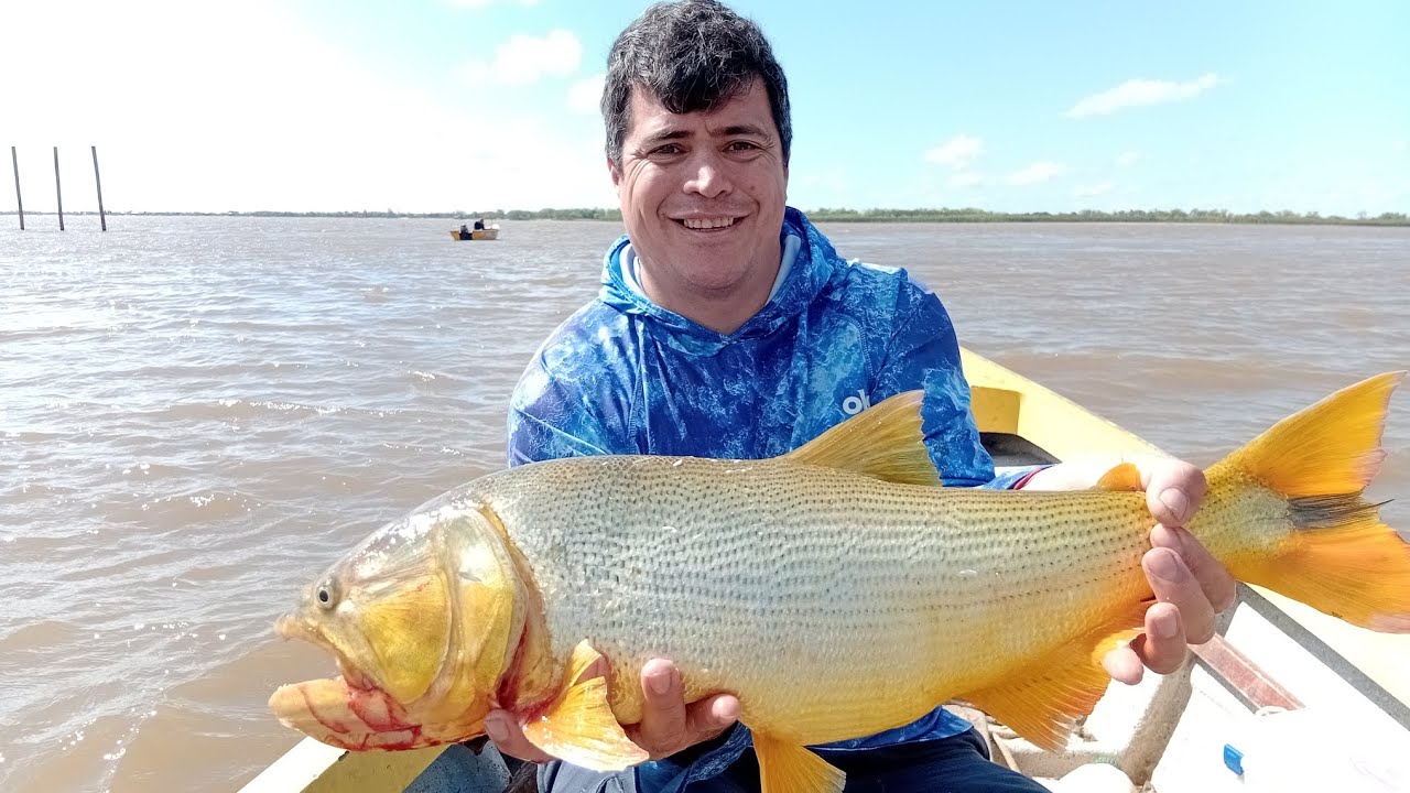 🐠DORADO Y TARUCHA 🐟PESCA CON SEÑUELOS 🎣