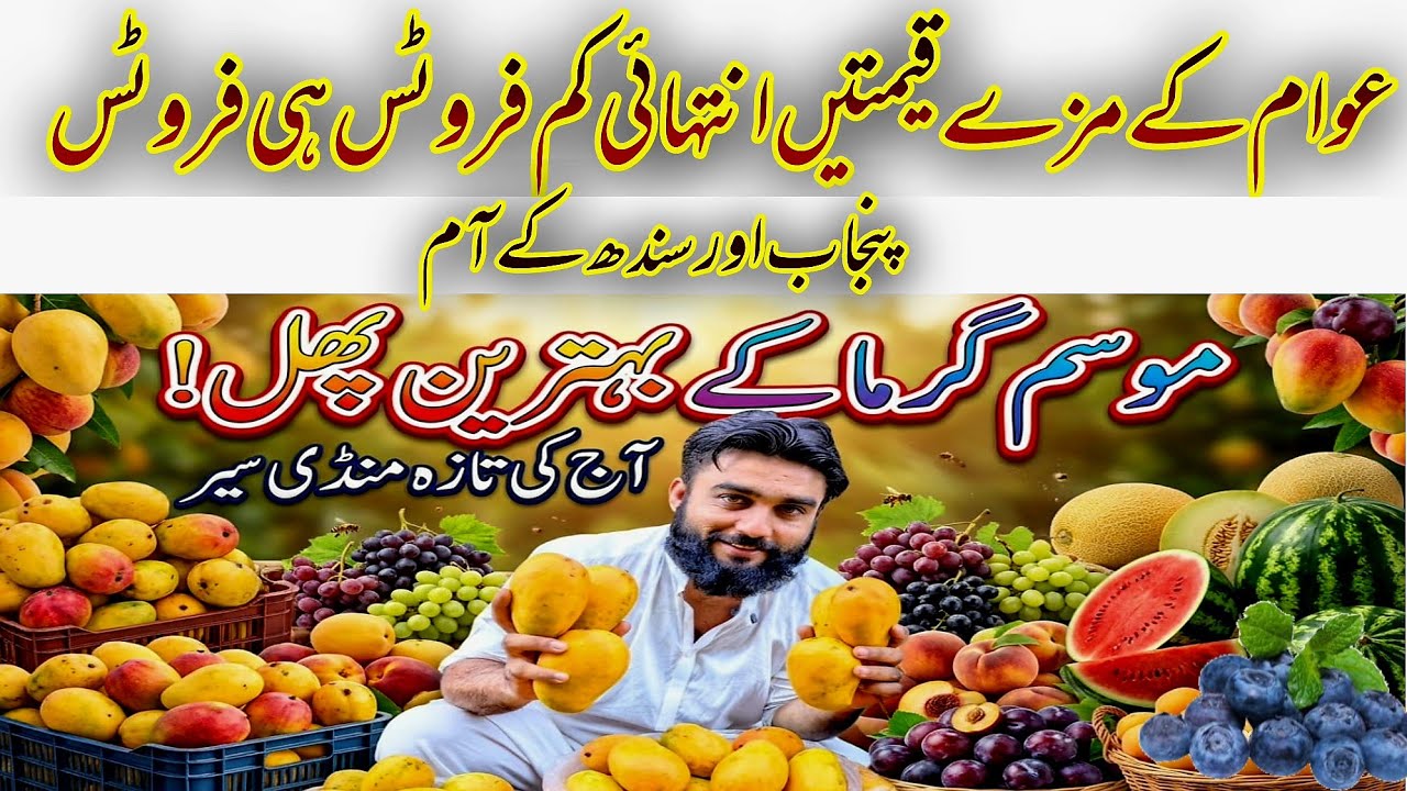 Mango Prices Crash! Shocking Market Update from Islamabad Fruit Market | Adnan Mayar Vlogs |