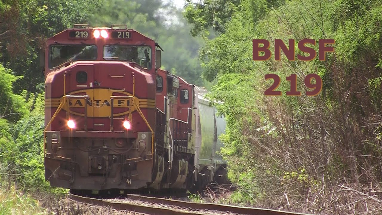 BNSF 219 