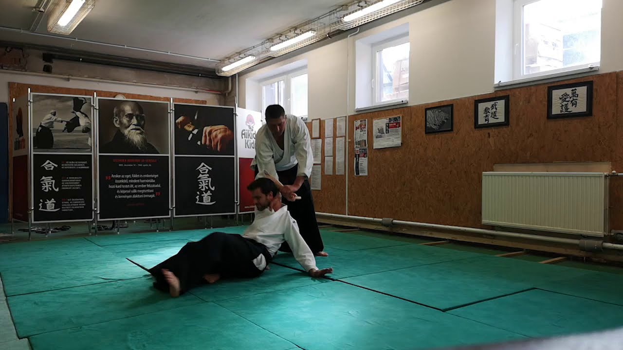 [TUTORIAL] Aikido: Tanto dori shomen uchi sankyo, shihonage, kaiten osae