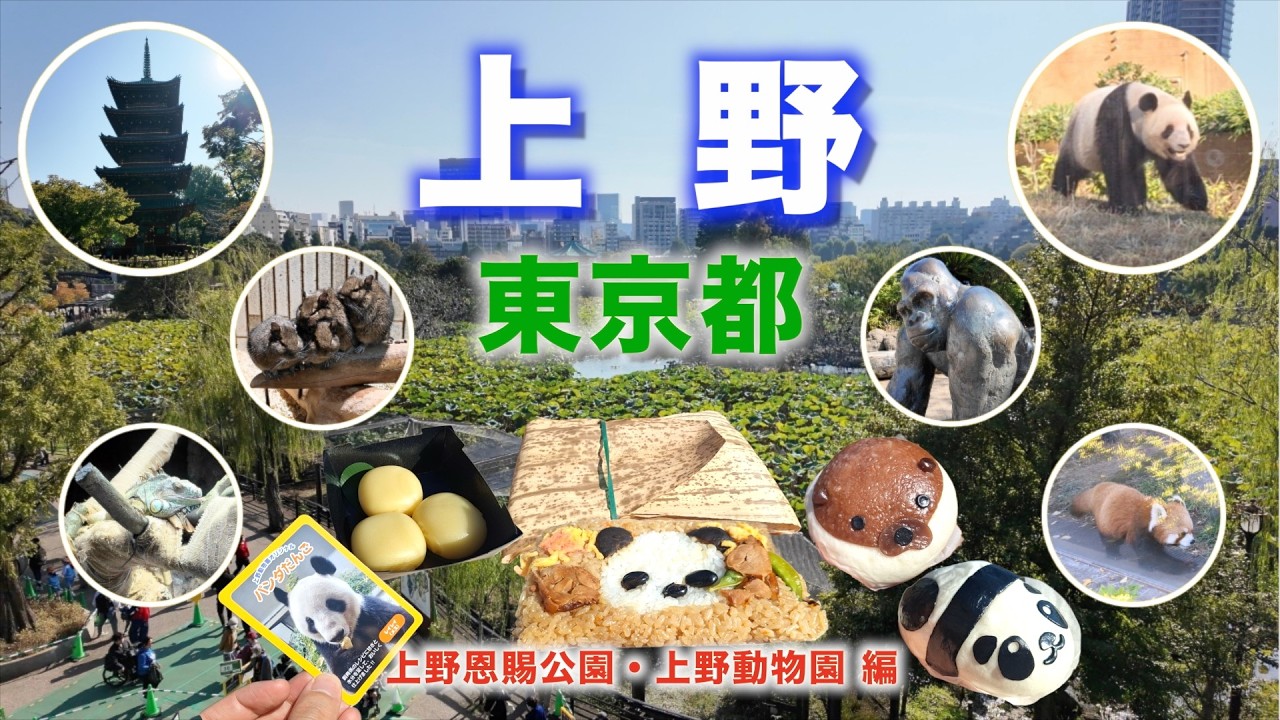 【徒歩旅・上野観光・グルメ2選】上野動物園のグルメやみどころ、歴史を歩きながら紹介！！中国へ帰ってしまう双子のパンダや魅力的な動物など盛り沢山！