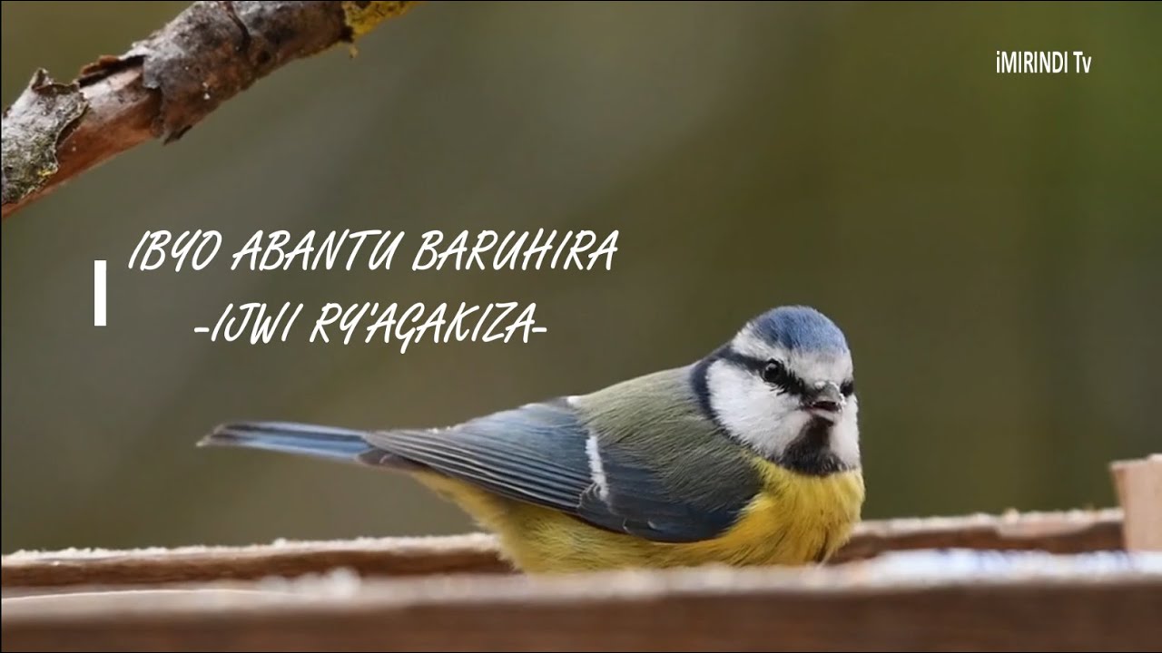 IBYO ABANTU BARUHIRA || Korari IJWI RY'AGAKIZA 🎶- umuntu ufite Yesu ni we mutunzi ukomeye.