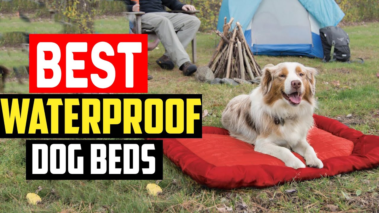 ✅Top 5 Best Waterproof Dog Beds 2025