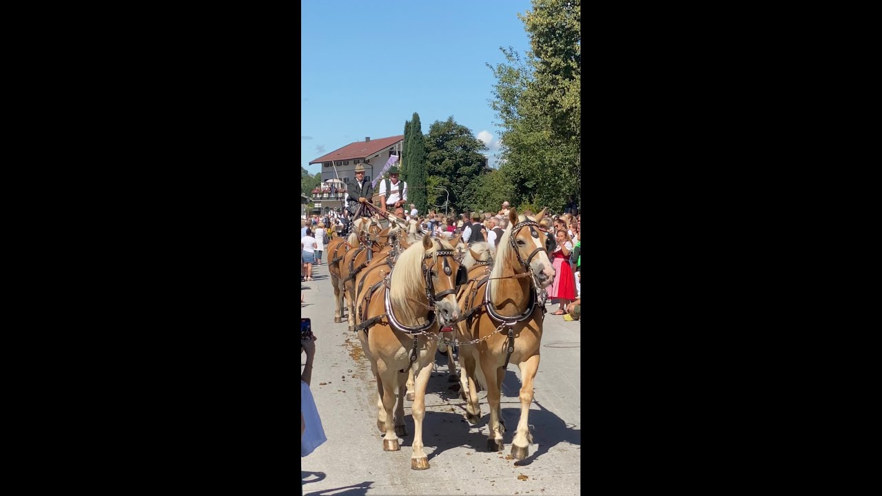 Rottacher Roßtag 2025 - Eindrücke vom Festumzug