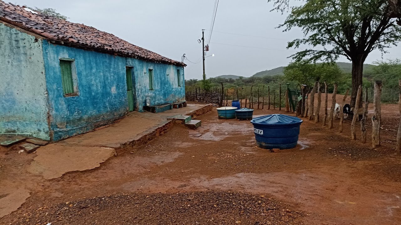 Final de tarde com chuva.🌧️ Sítio Mamoeiro Verdejante PE.