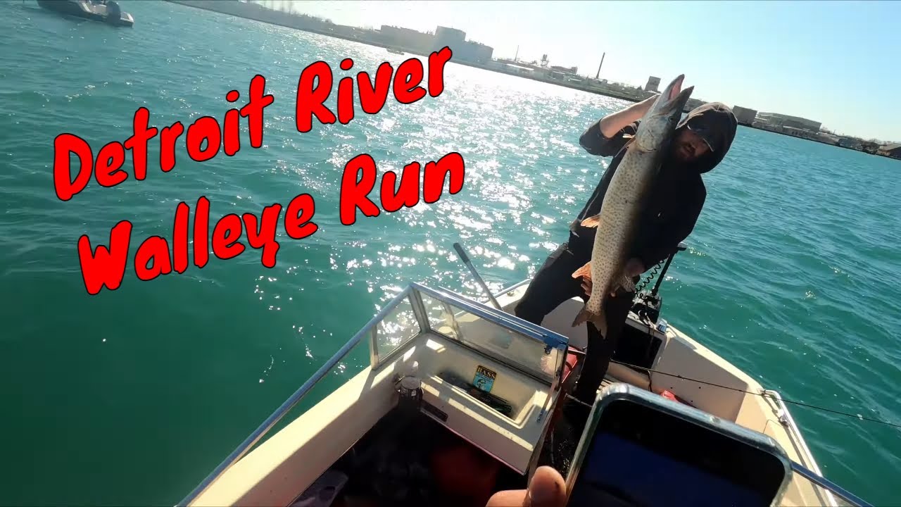 Detroit River Walleye Run Mid April 2024 Bonus Musky!