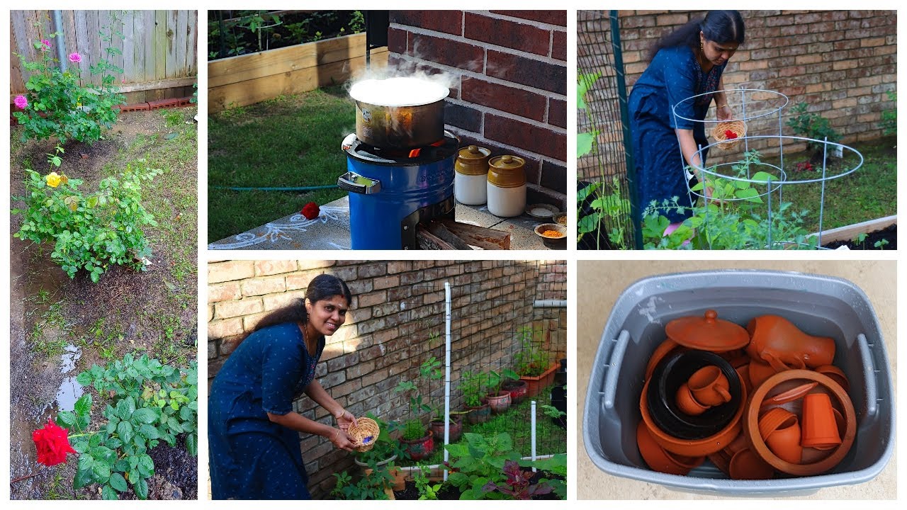 😍புது கிட்ச்சன்ல பால் காசியாச்சு & தோட்டதுக்கு வந்த புதுவரவுகள் | Garden Updates | USA Tamil Vlogs