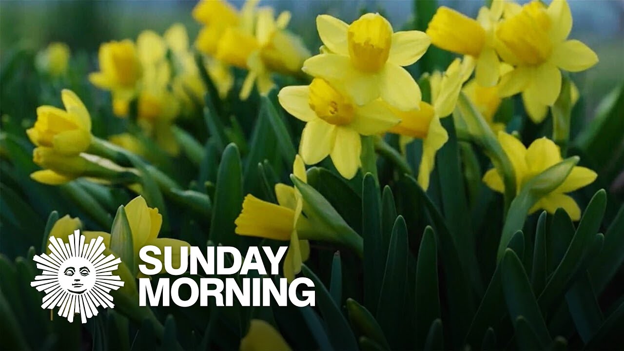 Nature: Spring in Pennsylvania