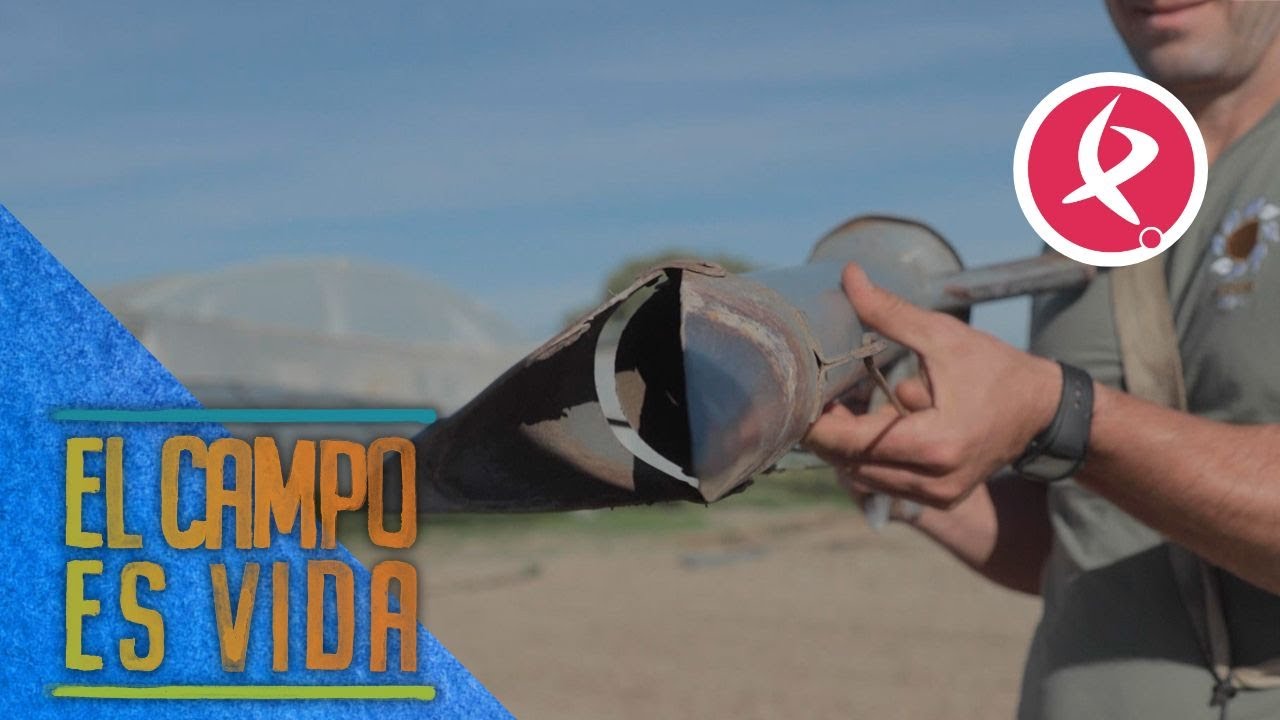 Clase magistral de cómo sembrar puerros y cebollas con el picopato | El campo es vida