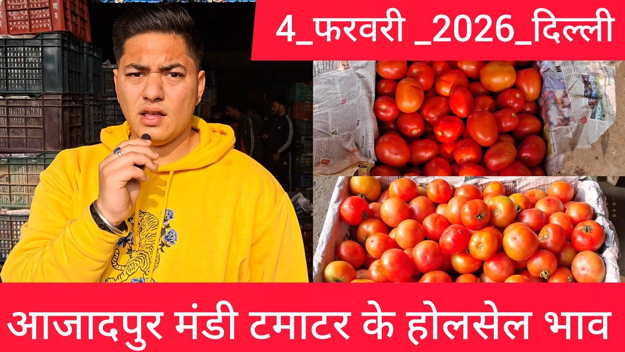 February 4, 2026 दिल्ली 🍅टमाटर के भाव azadpur Delhi mandi today #tomatomarket #delhitomatomarket