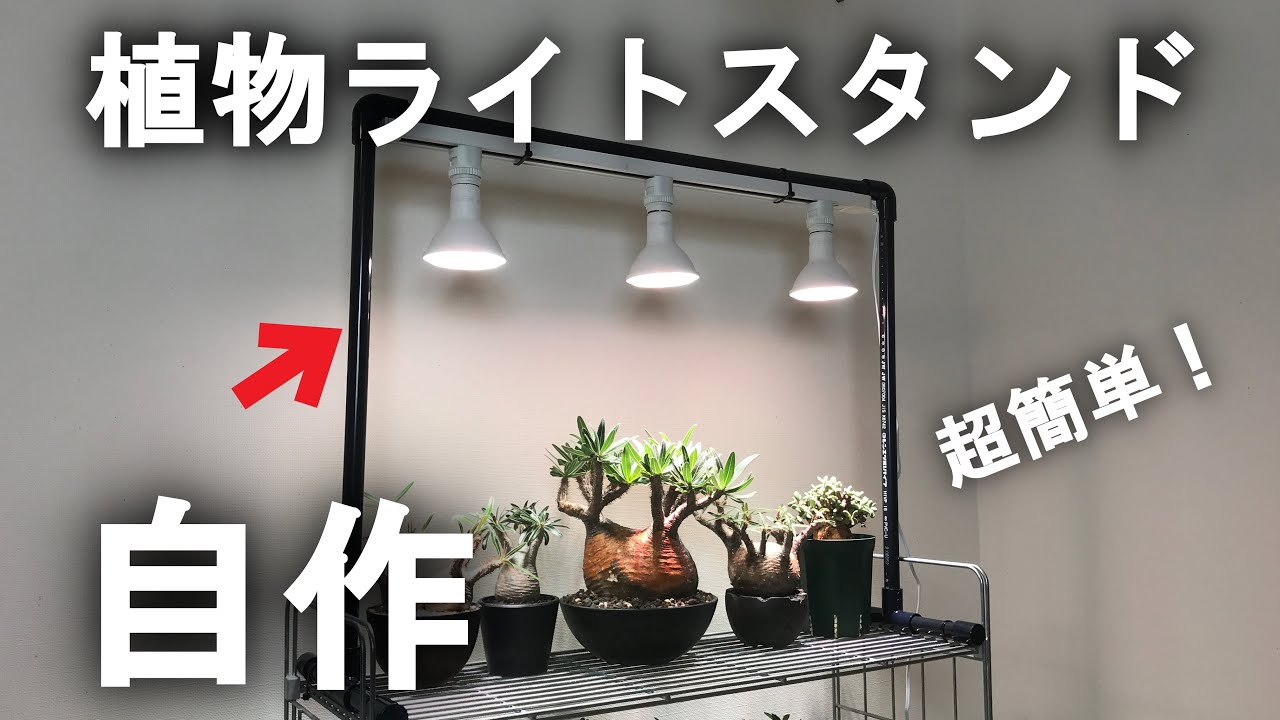 【設置10分】植物棚に塩ビパイプでライトスタンドを自作！ / 塊根植物