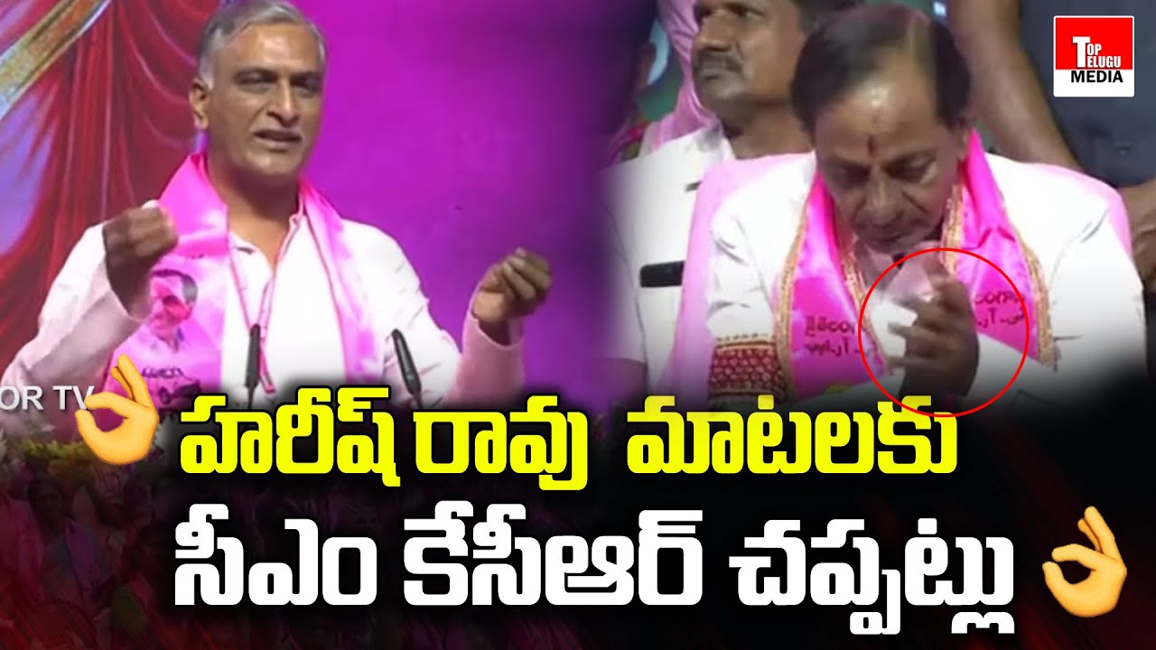 Minister Harish Rao Fires On BJP | TRS Plenary Meeting | 21 Years For TRS | Top Telugu Media
