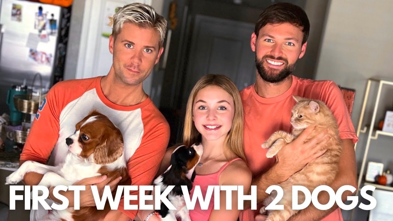 FIRST WEEK WITH 2 CAVALIER KING CHARLES SPANIELS!  Decided On A Disney Cruise, Gotcha Day & More!