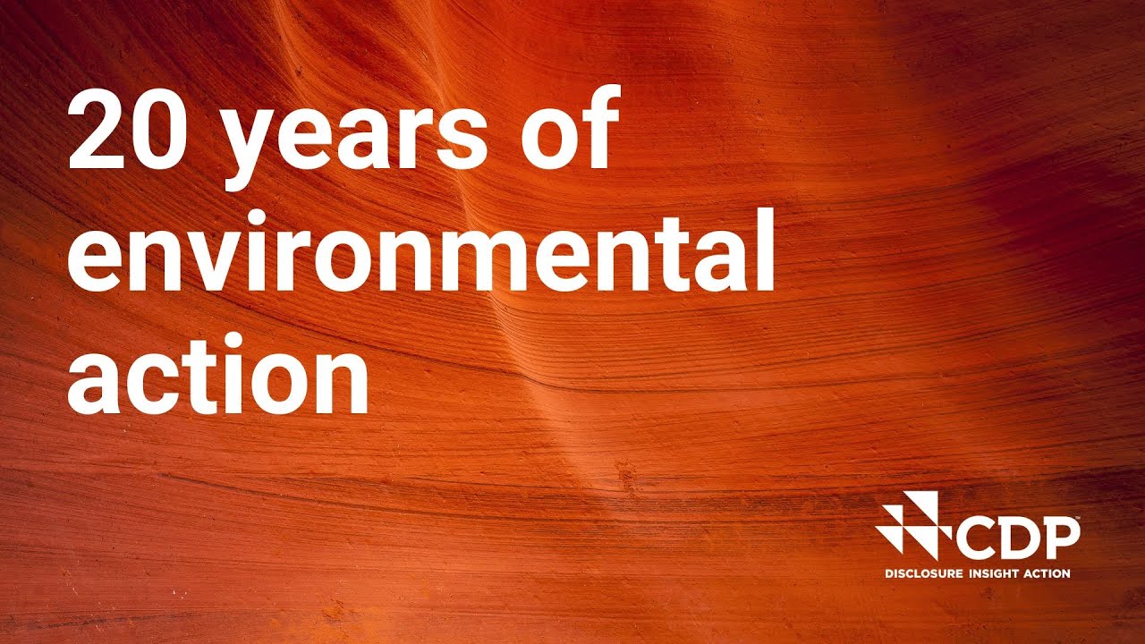 Celebrating 20 years of CDP: Driving disclosure, insight and action