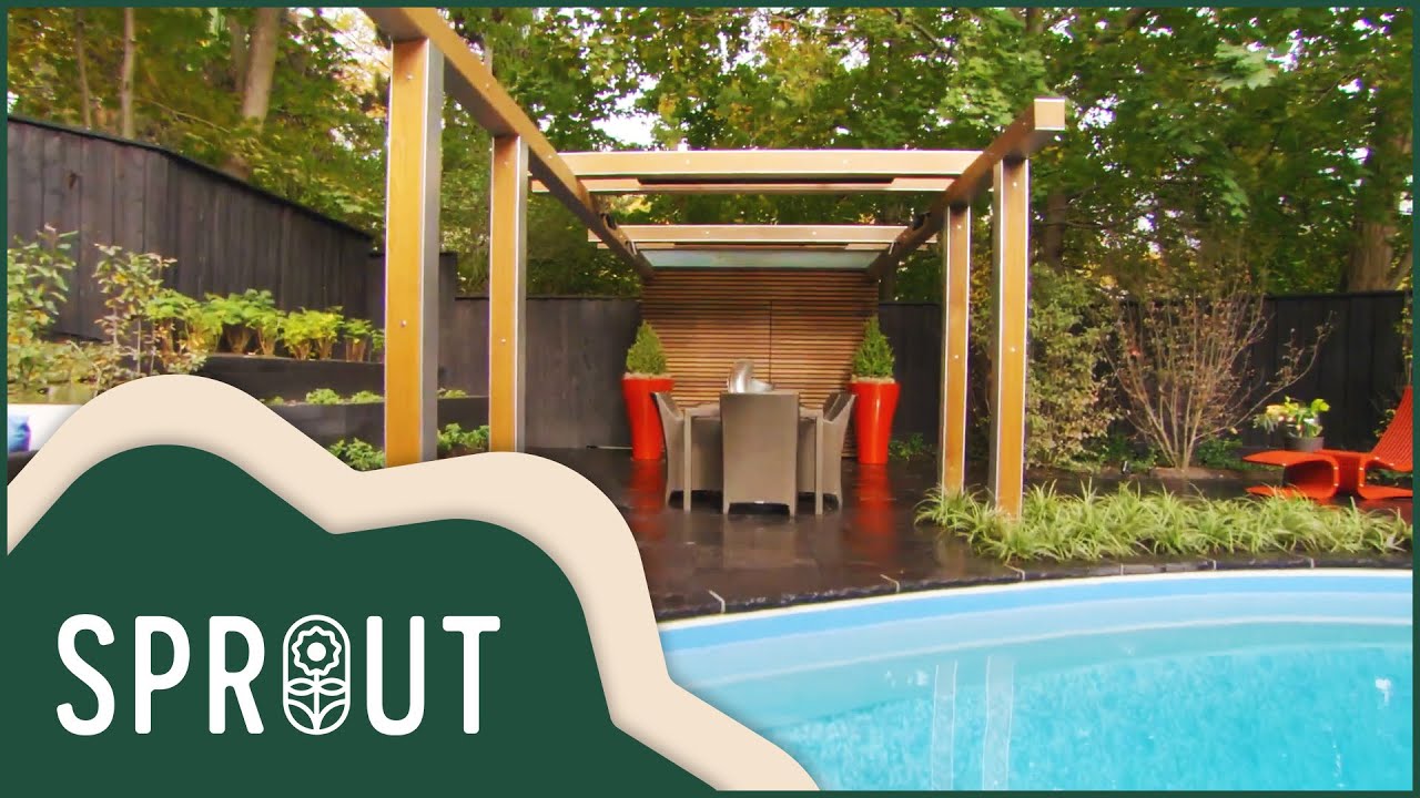 The Race to Altar: Garden Renovation & Wedding | Sprout