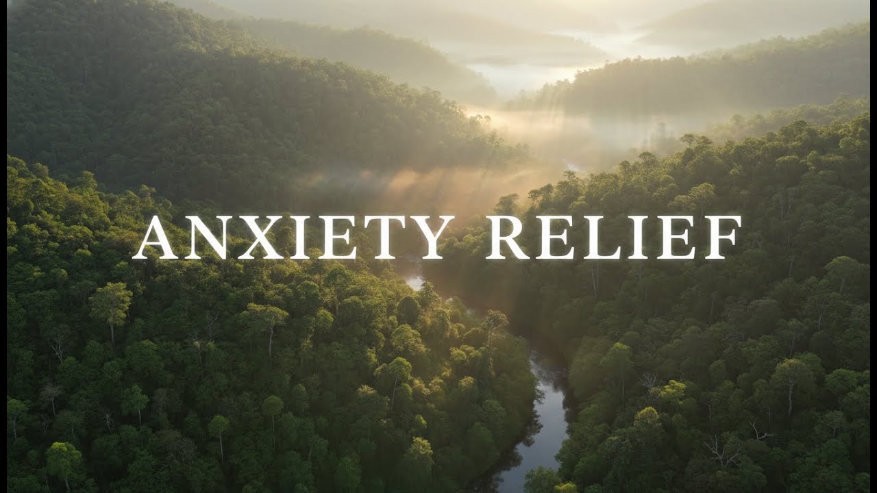 Relaxing Piano Music for Anxiety Relief in a Green Forest