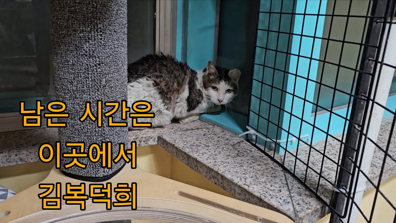 (2025.12.30)길에서의 힘든일은 다 잊고 이제 행복하자 김복덕희
