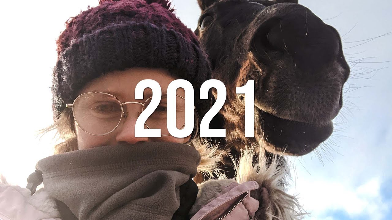Mój koński rok 2021