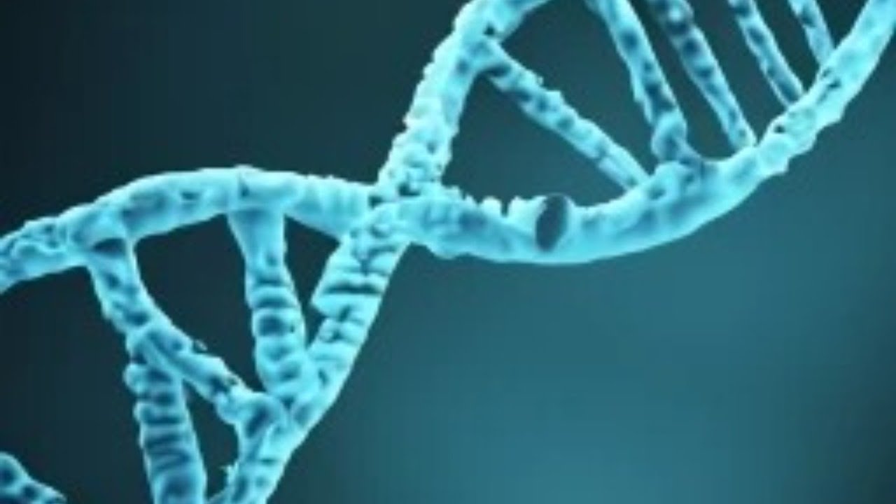 Lecture 2: Genes & Crime (Neuropsychology of Criminal Behavior, Spring 2024)