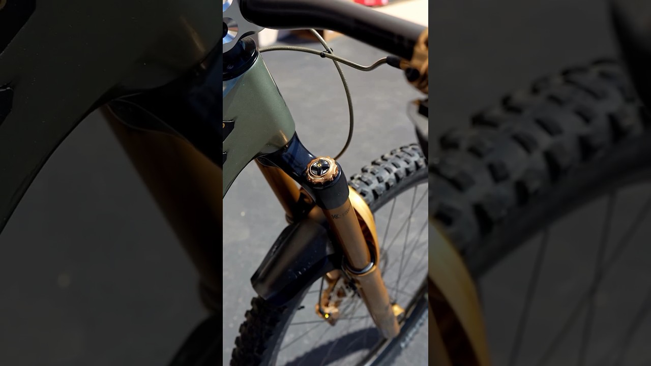 GOLD FOX 38🥇🦊 #bikes #mtb #shorts #enduro #ebike #fox #mountainbike #downhill @endurojat instagram