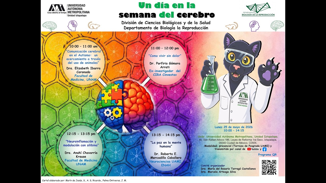 Un d&iacute;a en la semana del cerebro