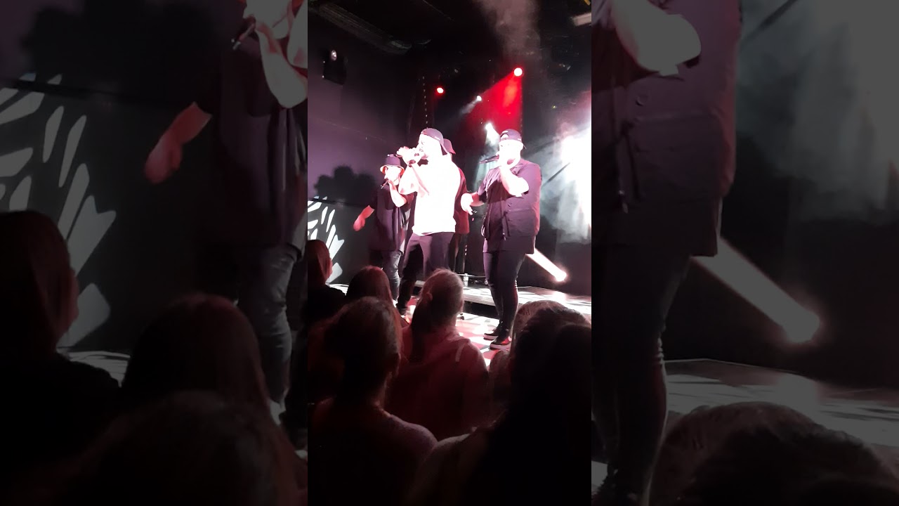 💥JUNGLE - Berywam live in Belgium 🇧🇪
