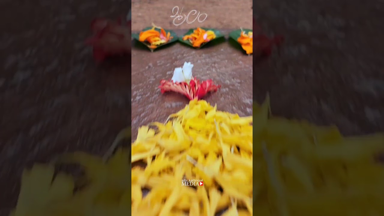 #shorts #onam #moolam