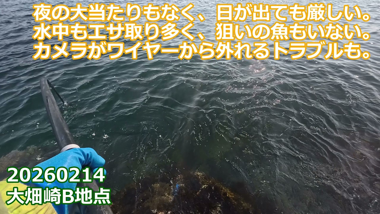 【冬の大畑崎】釣果乏しい静かな海で起きた予想外の出来事…沈んだカメラとの再会｜三浦半島｜2026年2月14日