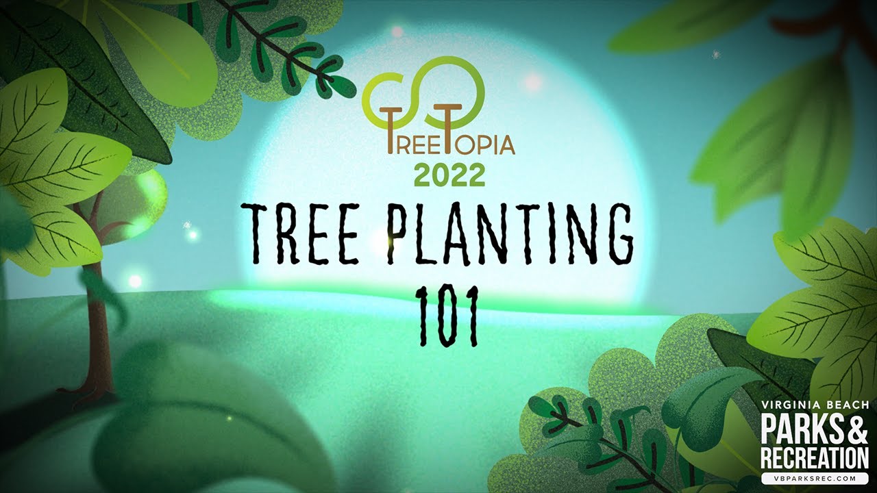 Tree Planting 101