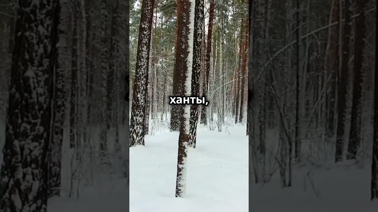 Сибирские татары. @Istoric-az #history #shortsvideo #turk