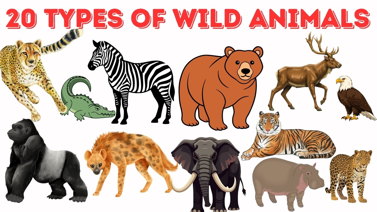 20 Wild Animal Sounds & Names 🦁 | Learn English Vocabulary for Kids | Zoo Animals for kids