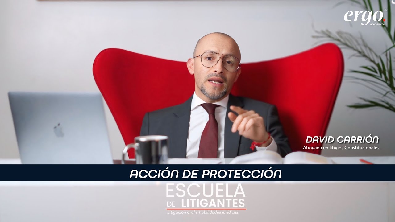ESCUELA DE LITIGANTES - David Carrión Mora 