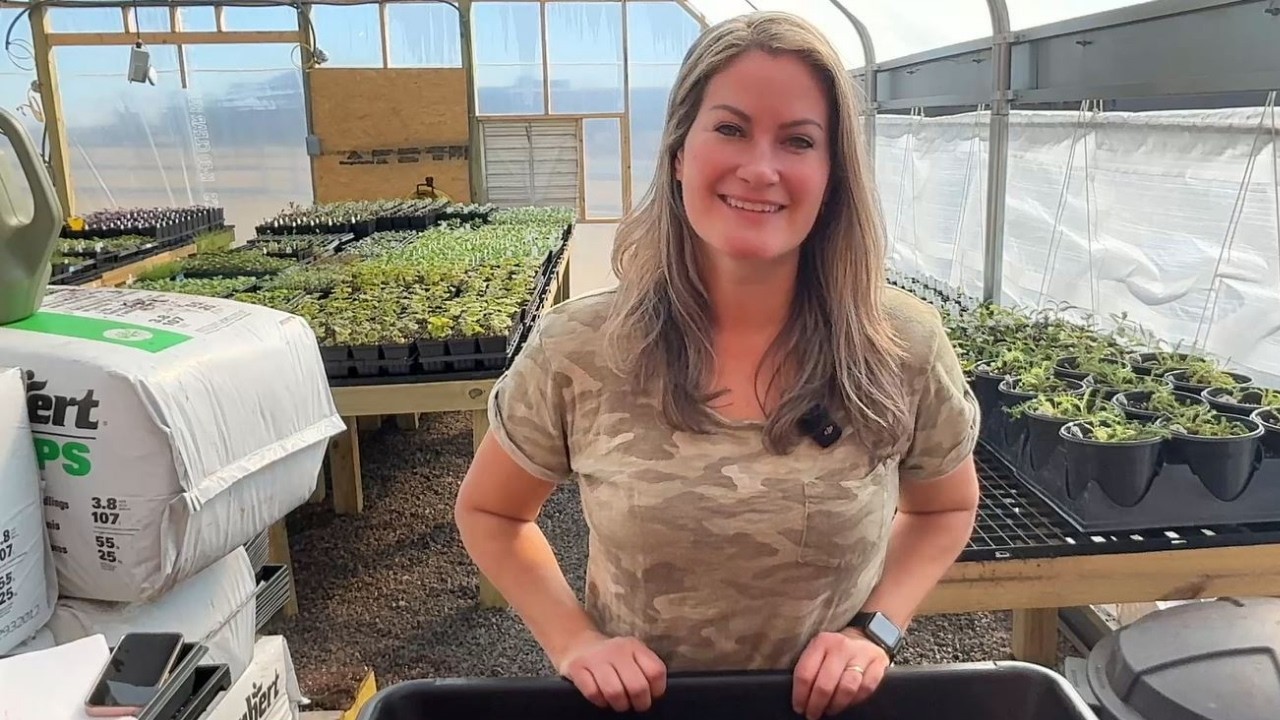 Посев целозии в помещении в марте 🌱 | Подготовка почвы для посева и обзор гроурума (зона 7A)