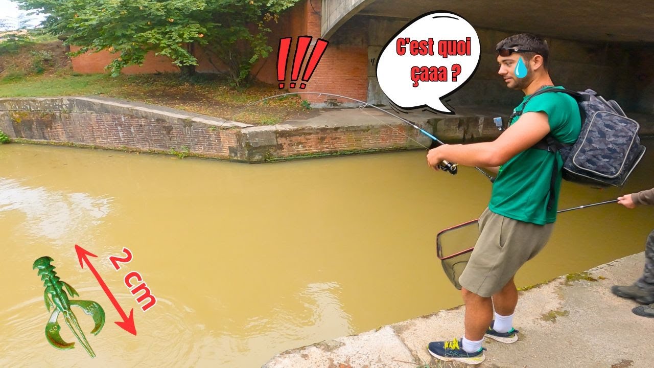 Il PÊCHE un ENORME POISSON IMPROBABLE avec un MICRO LEURRE➡️ Il N'ETAIT PAS PRET  (Feat 