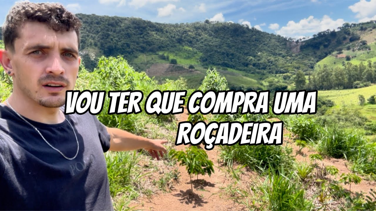 VOU COMPRAR UMA ROÇADEIRA ZERA