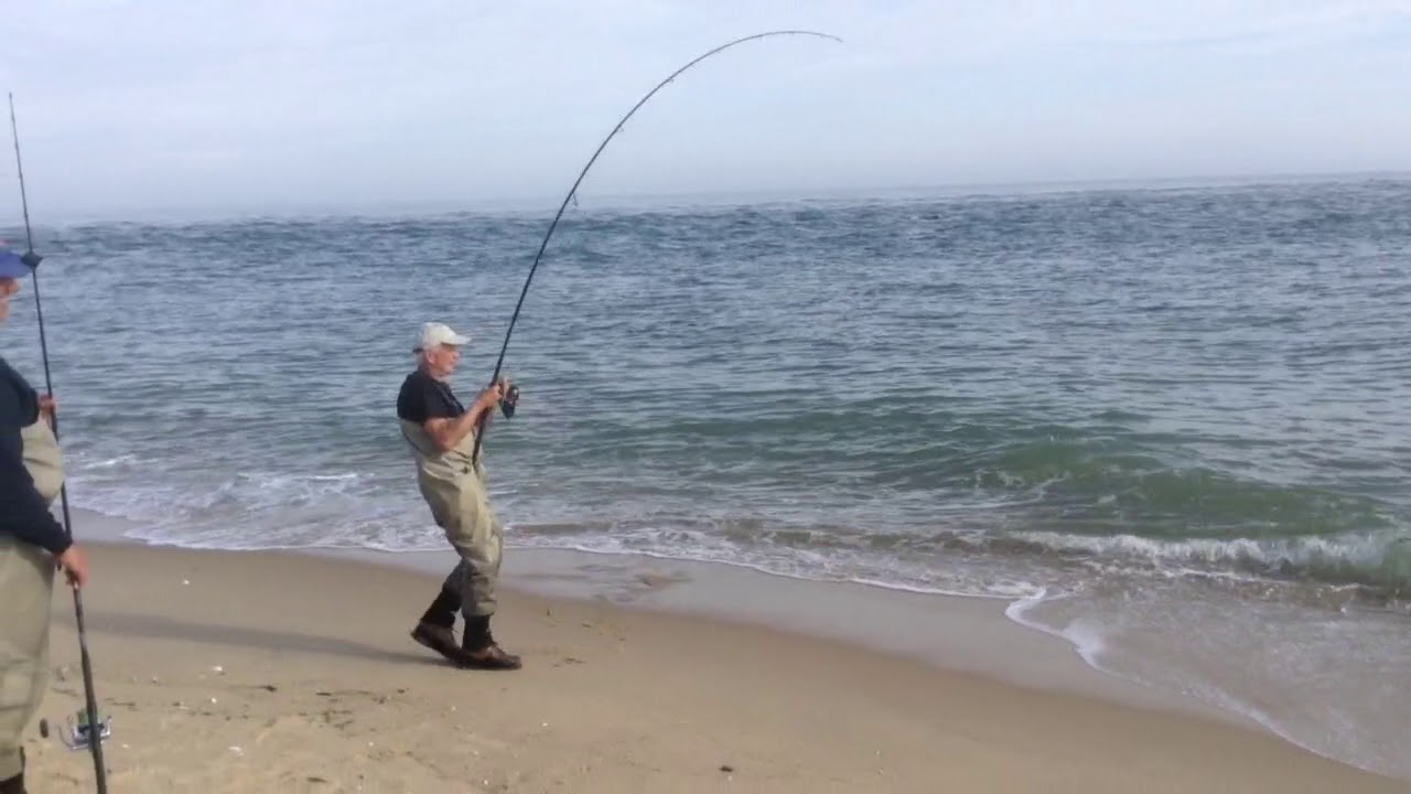 Catching Albies at Wasque Oct 2017